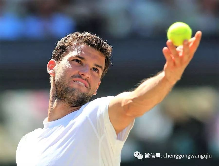 大手笔啊 大手笔啊